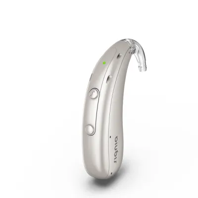 Signia Motion Charge&Go SP IX 3 - Oplaadbaar