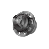 Widex Easywear V2 RIC P