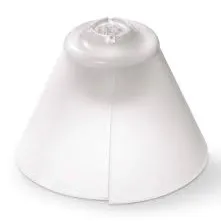 Tip - Tulip