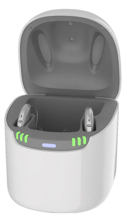 Pure Dry&Clean charger