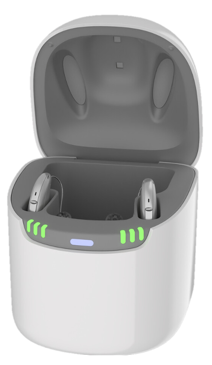 Pure Dry&Clean charger