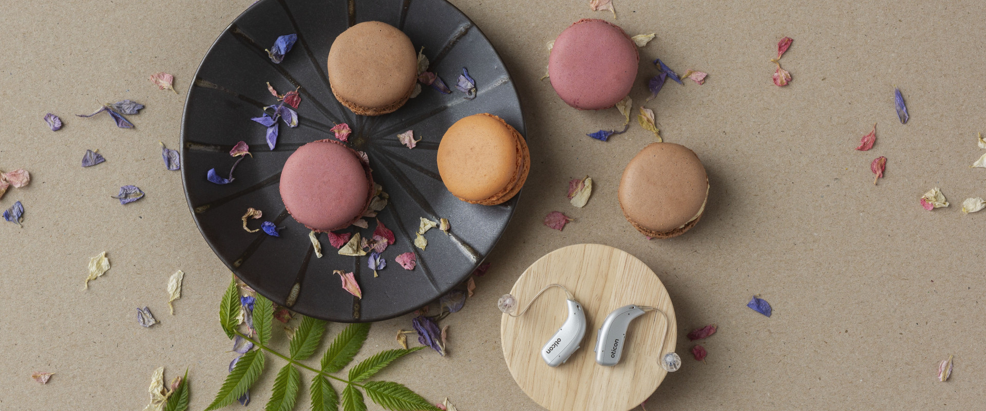 Nieuwe Oticon hoortoestellen; Oticon More en Zircon